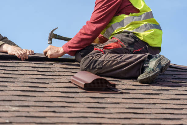Best Roof Maintenance Services  in Oran, MO