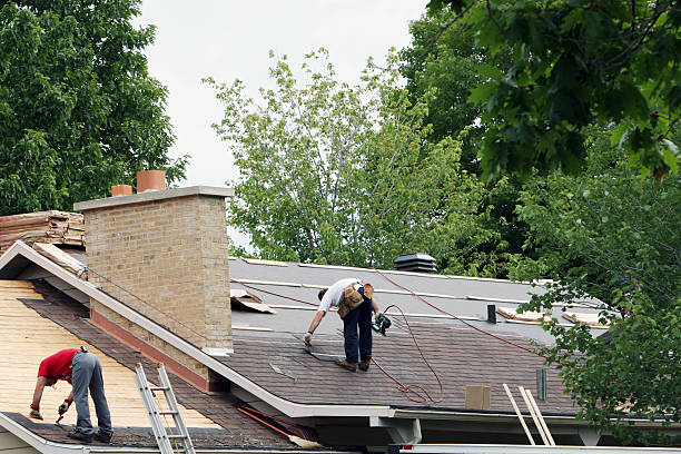 Best Roof Gutter Cleaning  in Oran, MO